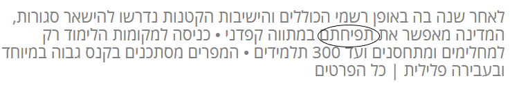 טעות.png