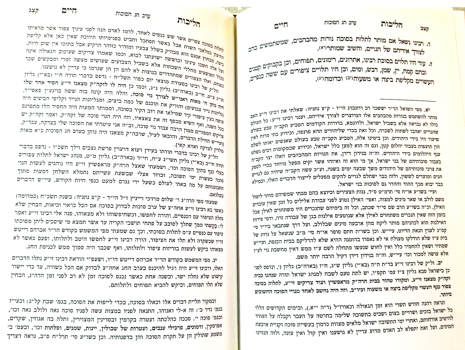 טעם לקישוט ציפורים.png