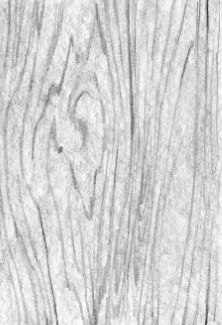 טקסטורה עץ.PNG