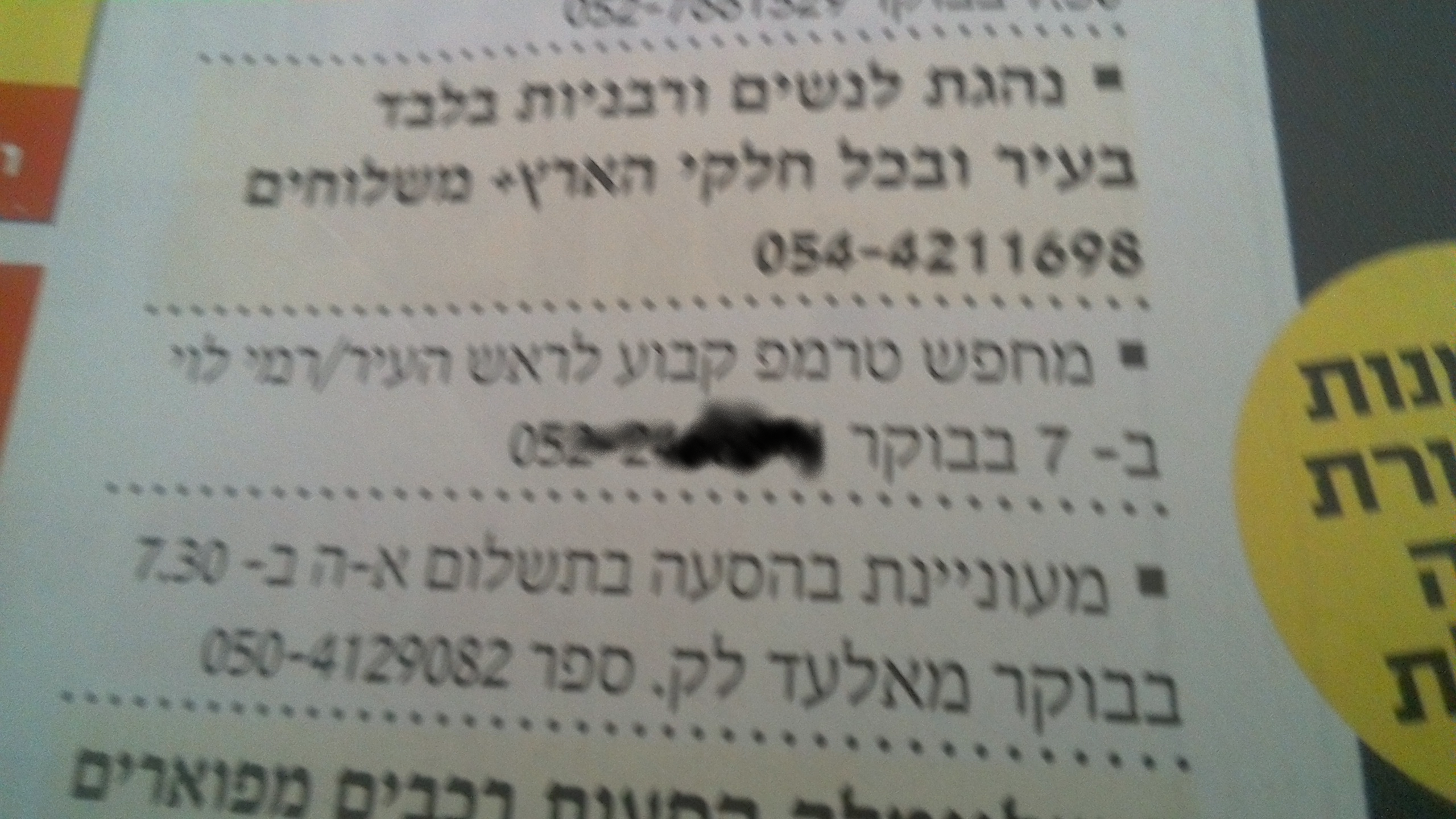 טרמפ לראש העיר 1.png