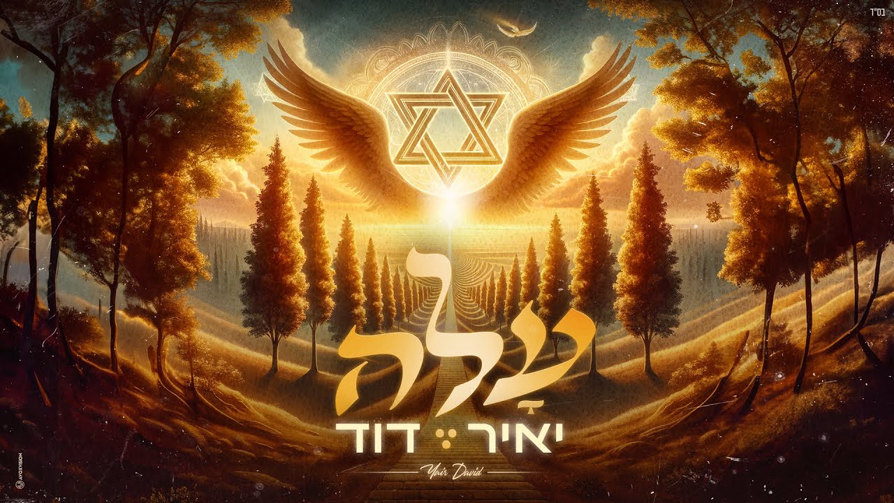 יאיר דוד - עלה.jpg