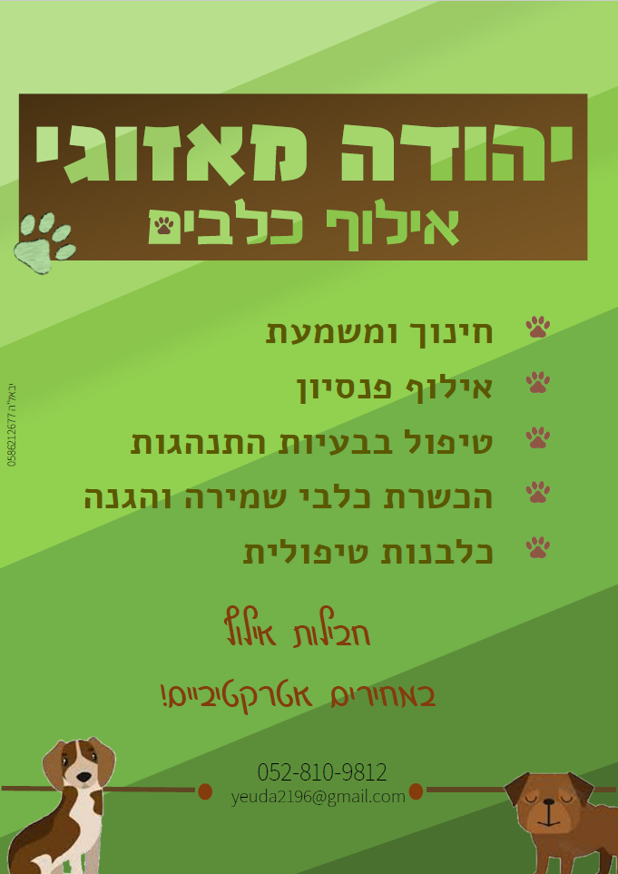 יהודה מאזוגי.png