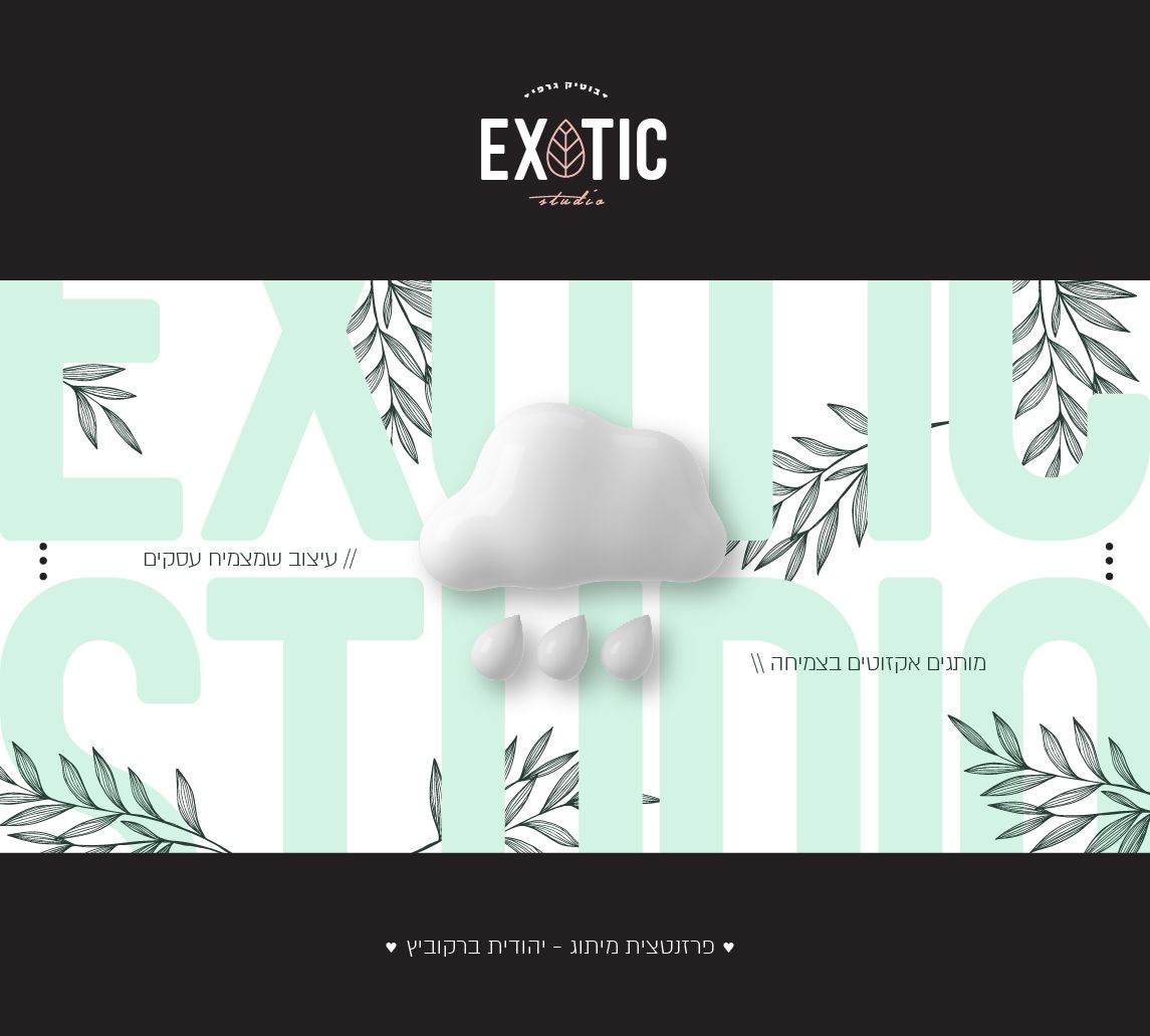 יהודית פרזנטציית מיתוג-01.jpg