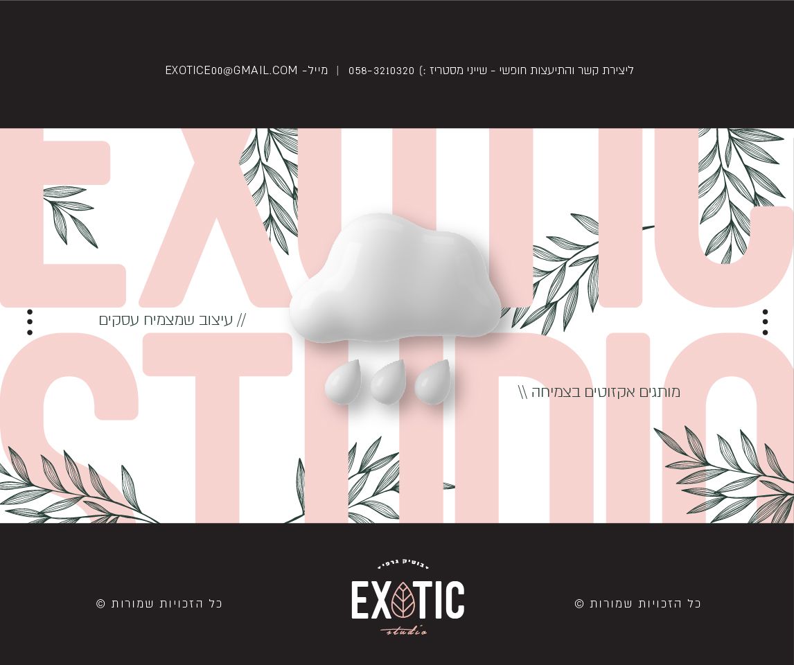 יהודית פרזנטציית מיתוג-05.jpg