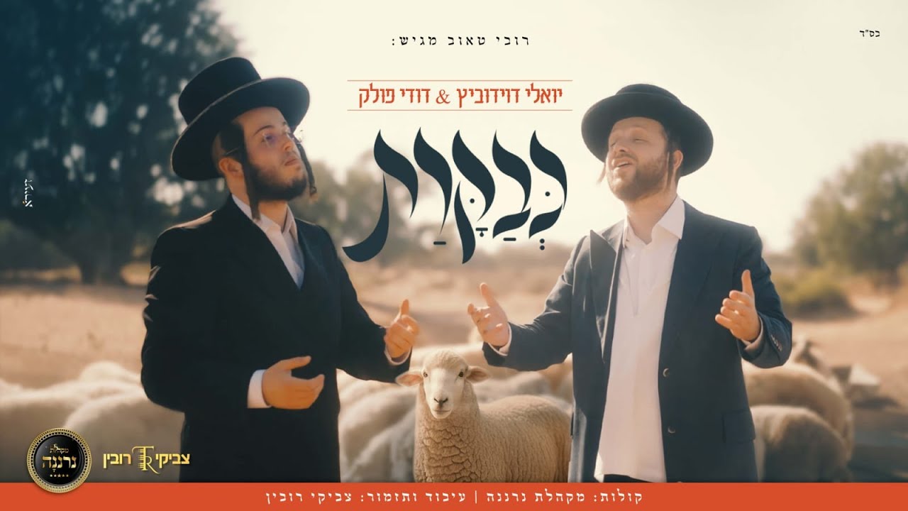 יואלי דוידוביץ & דודי פולק - כבקרת.jpg