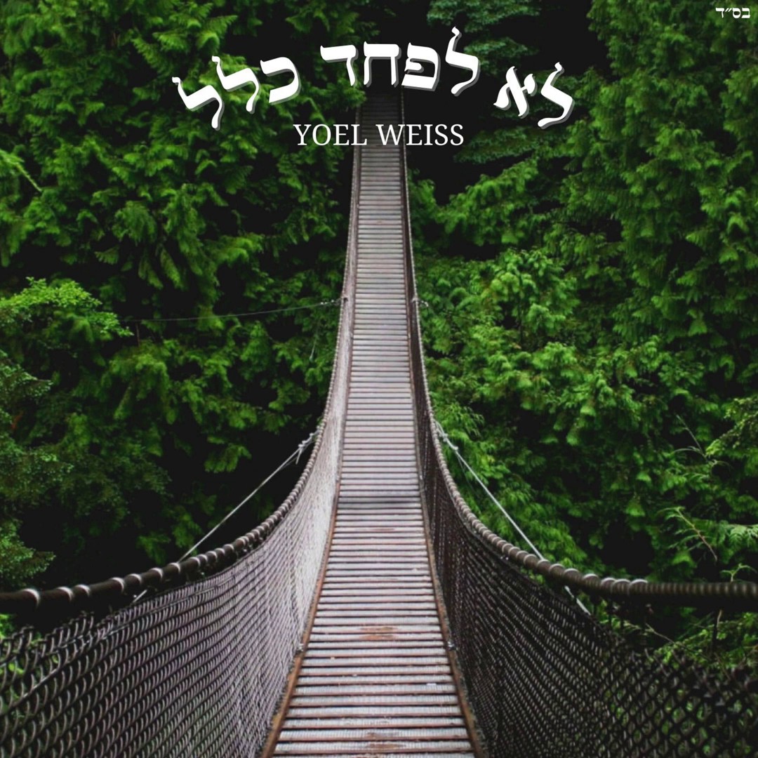 יואל וייס - לא לפחד כלל.jpg