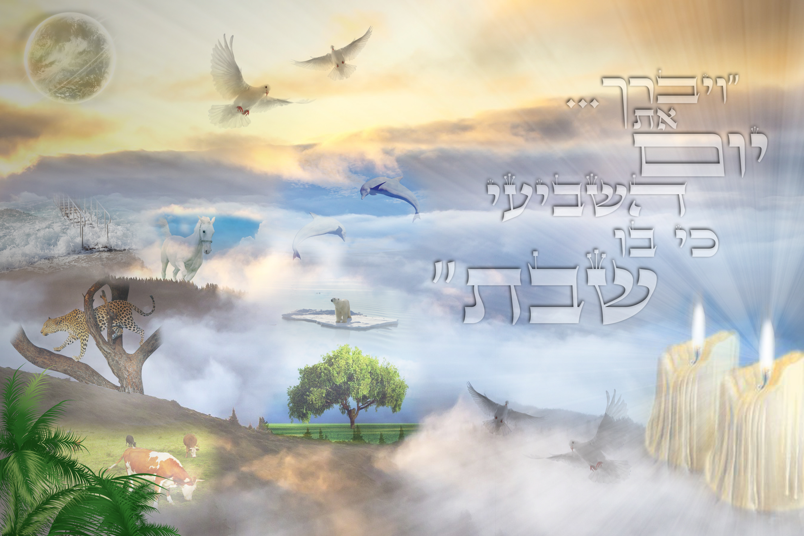 יום השביעי.jpg