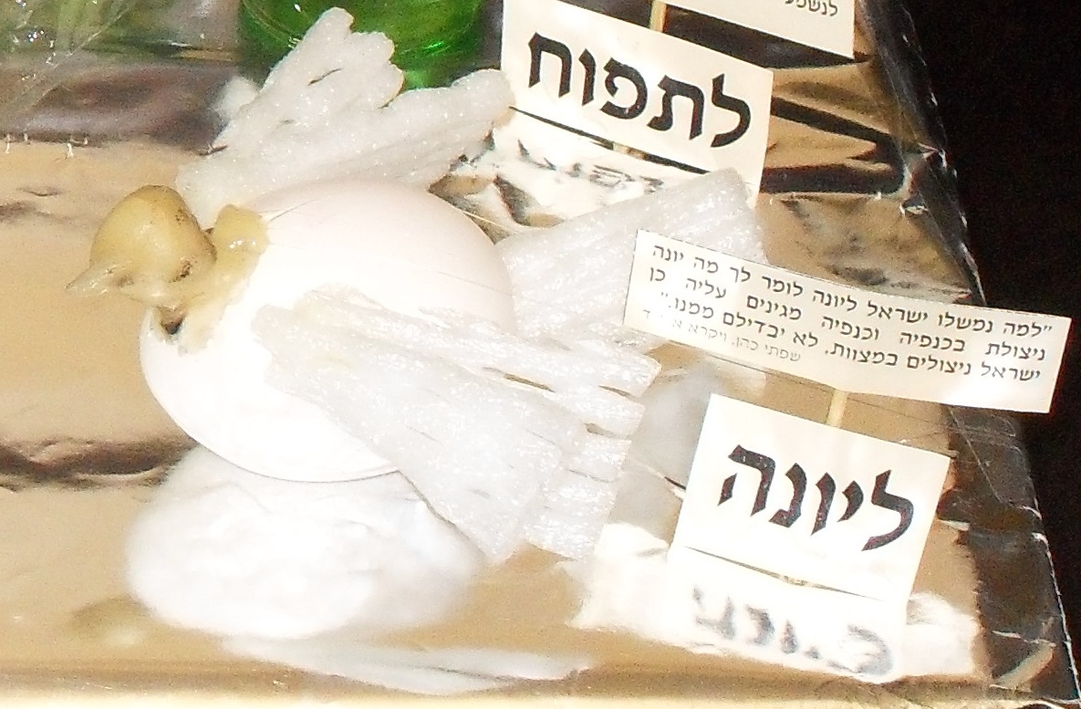 יונה מביצה.jpg