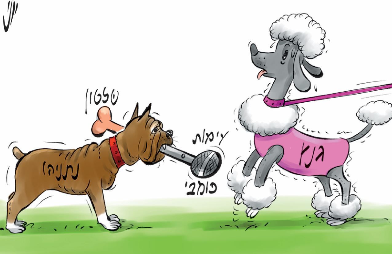 יוני כלבים.JPG