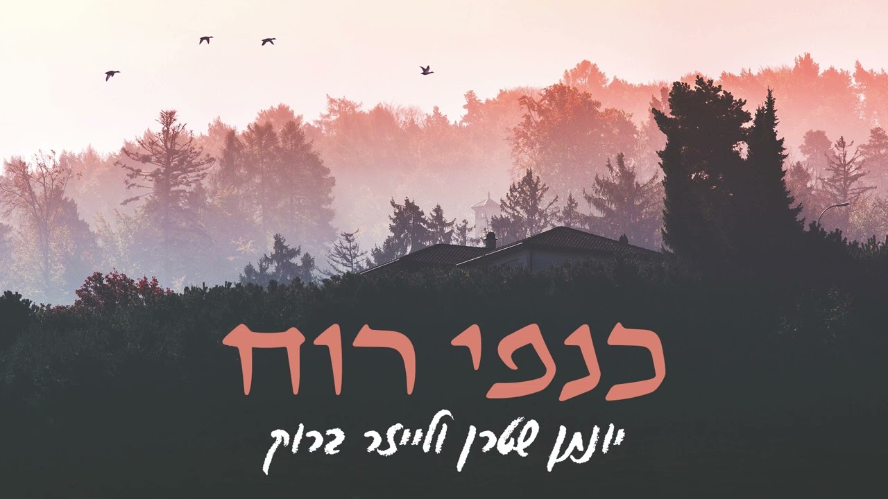 יונתן שטרן ולייזר ברוק - כנפי רוח.jpg