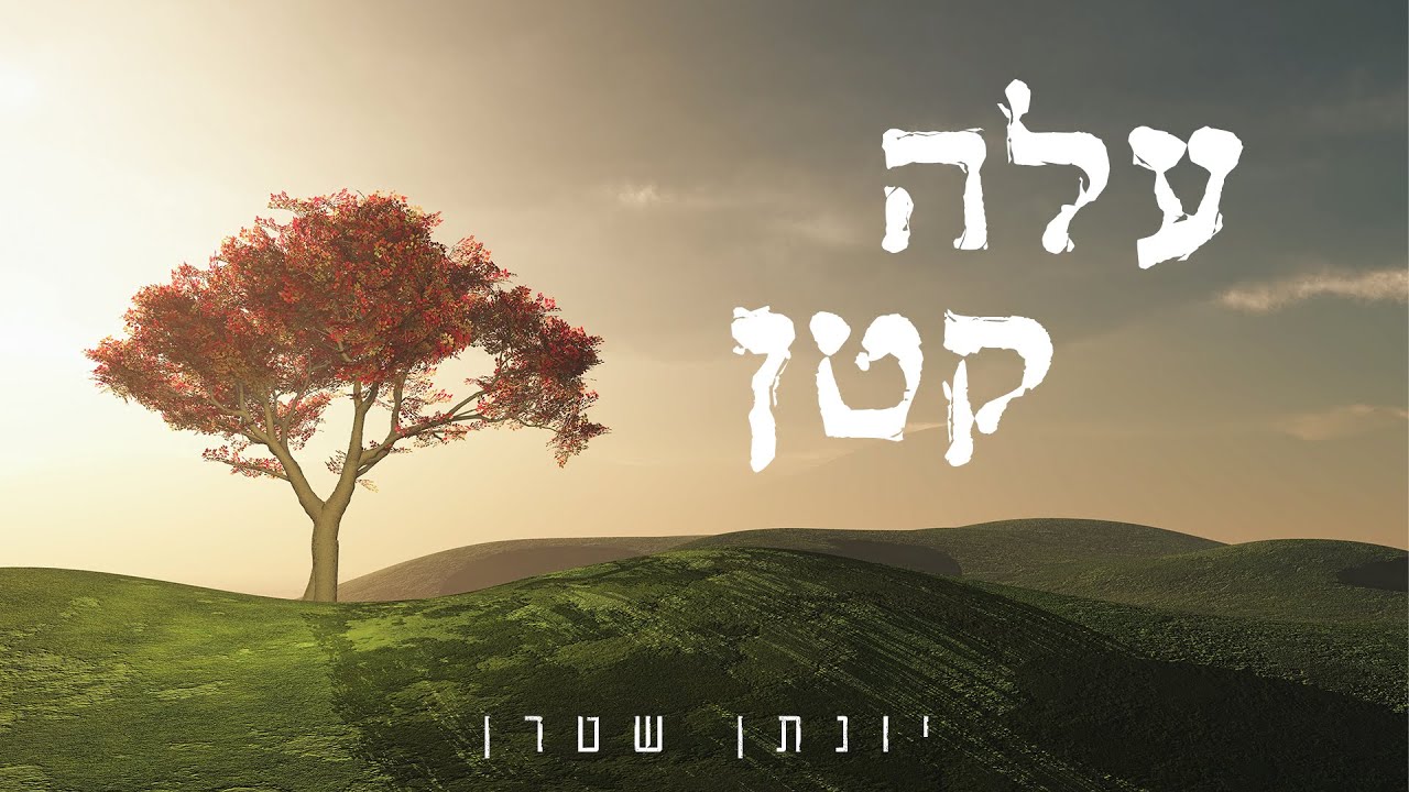 יונתן שטרן - עלה קטן.jpg