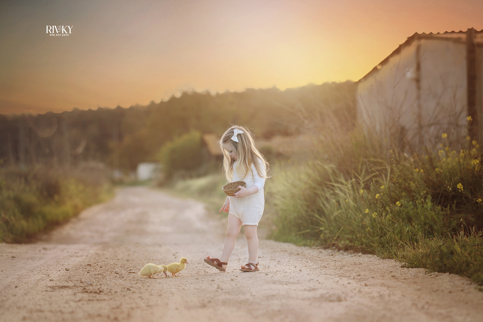 יותר אדוםתמונה תיקון טובה copy 2.jpg