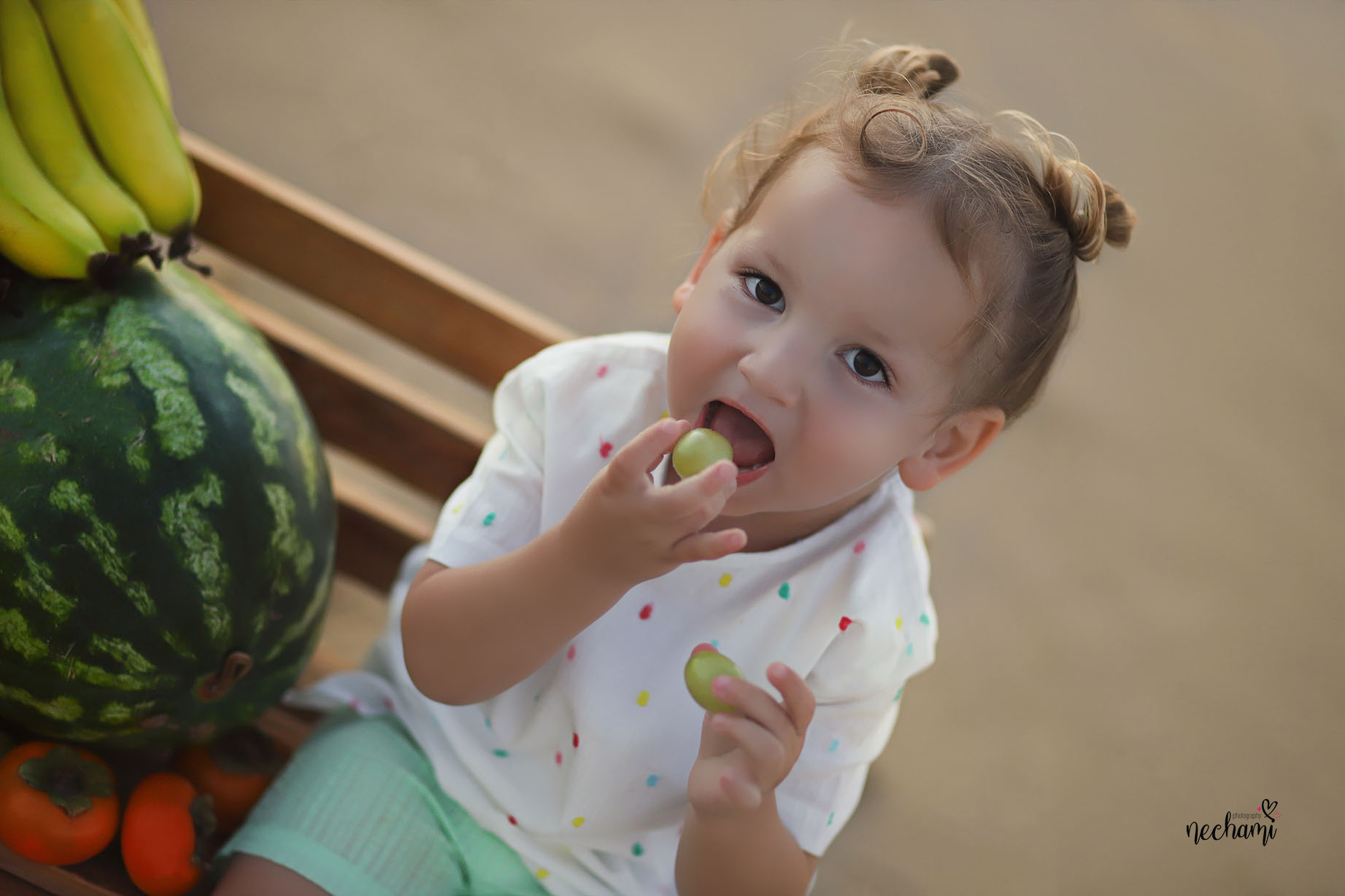 ים תקריב copy.jpg