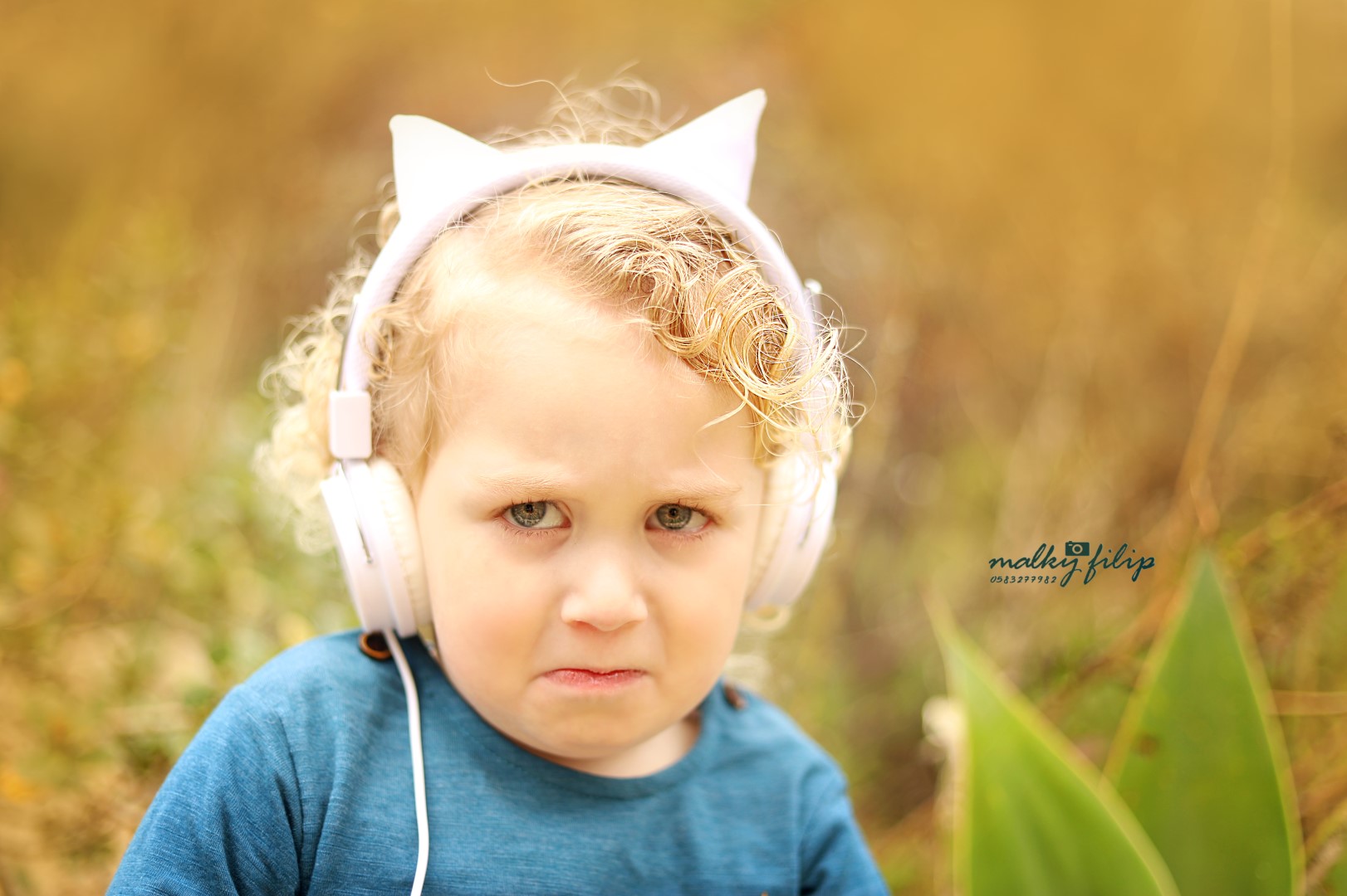 יענקי (Large).jpg