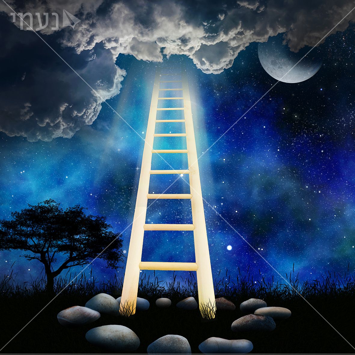 יעקב קרדיט.jpg