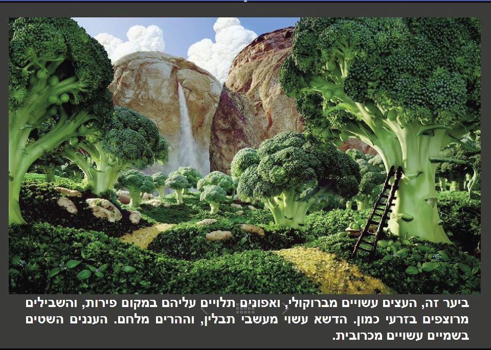 יער.JPG