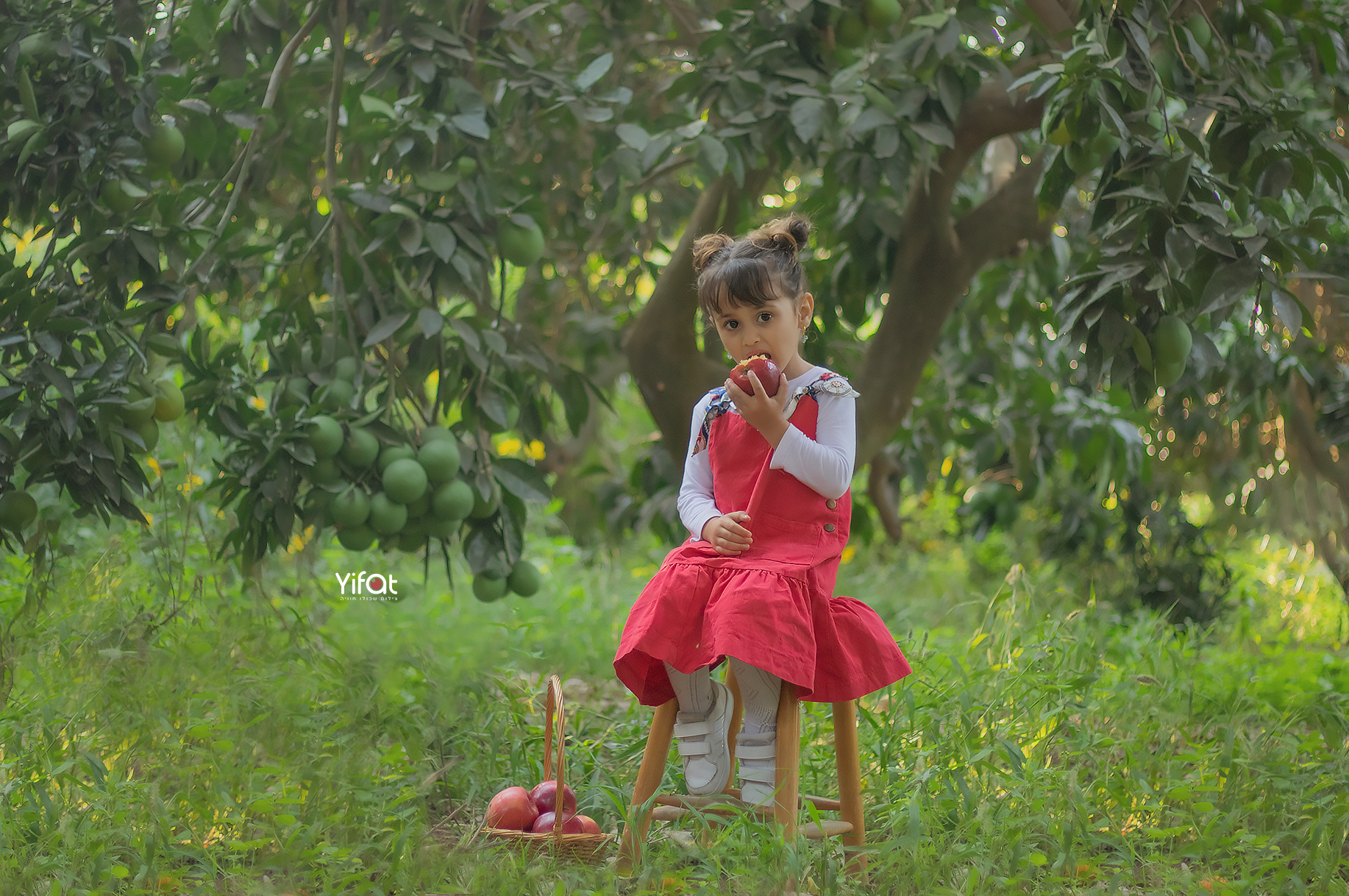 יפעת2 0556786943.jpg