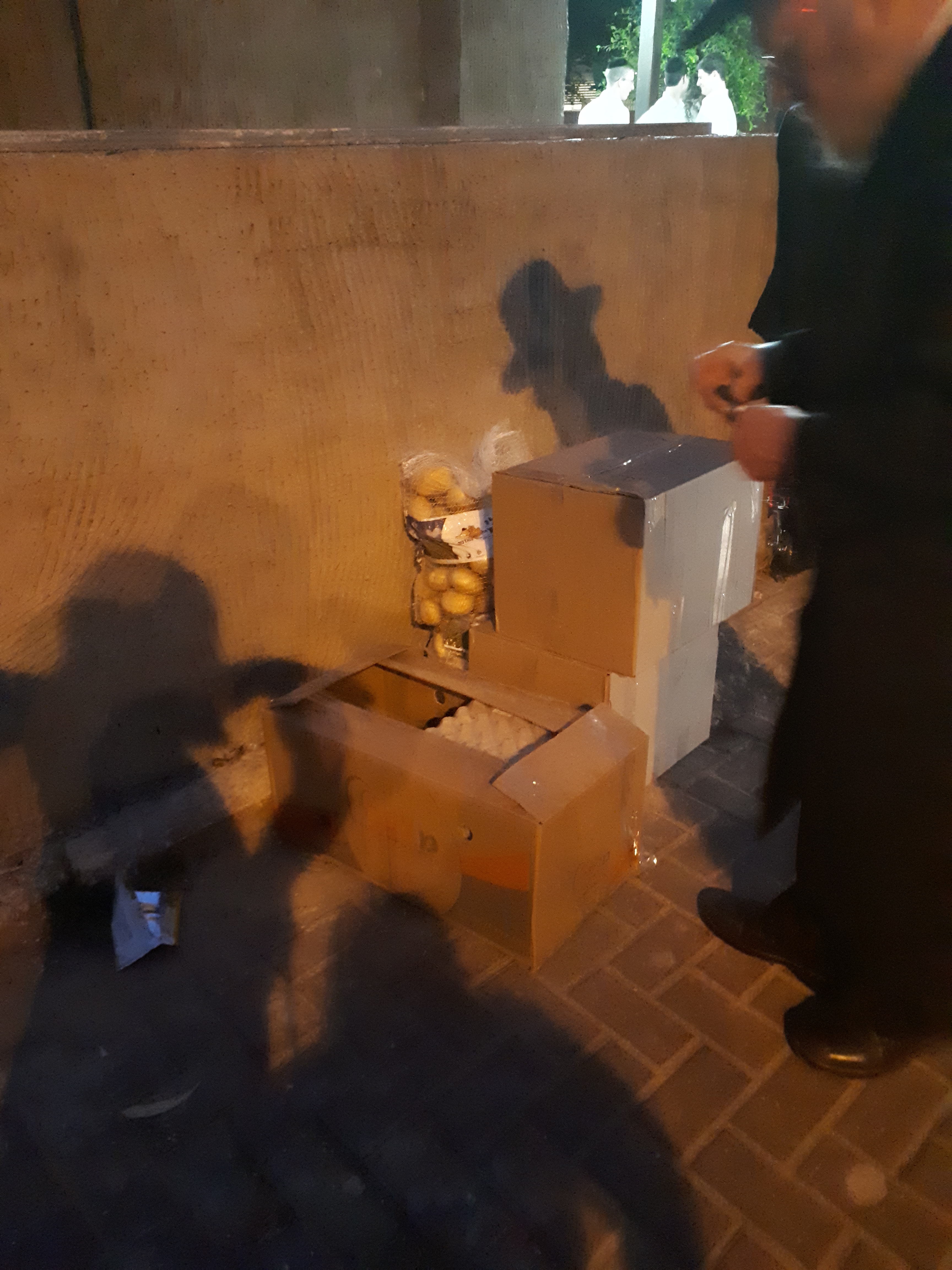 יצאנו ברכוש גדול - פסח תשעח.jpg