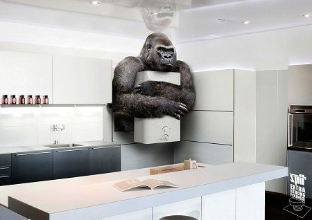 יציב במיוחד.jpg