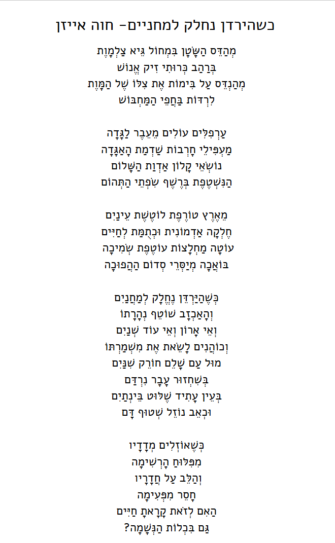 ירדן ביבס.png