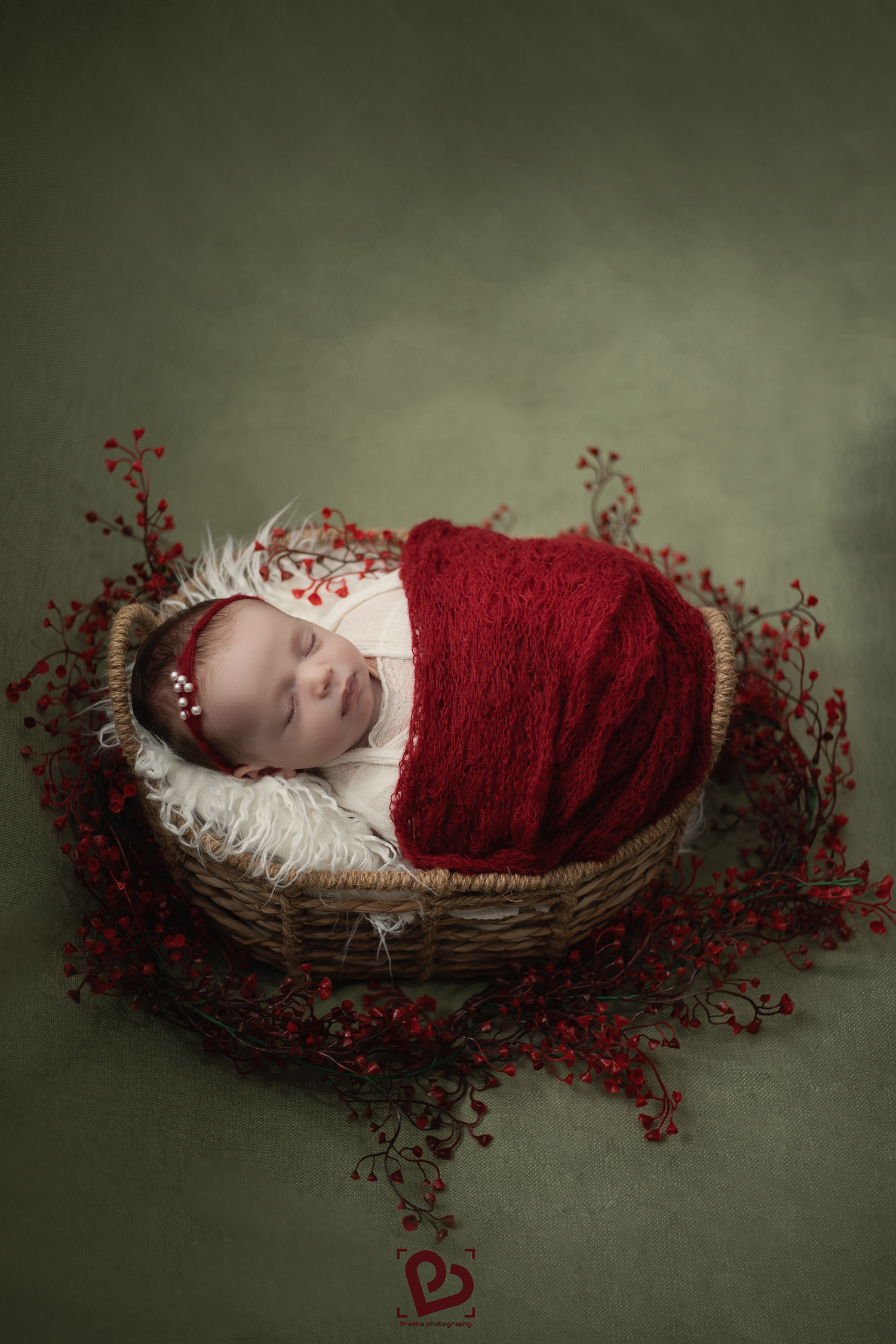 ירוק בורדו copy_1.jpg