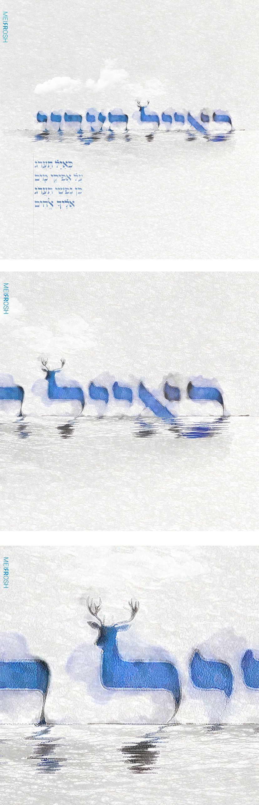 כאייל תערוג MeirRoshDESIGN.jpg