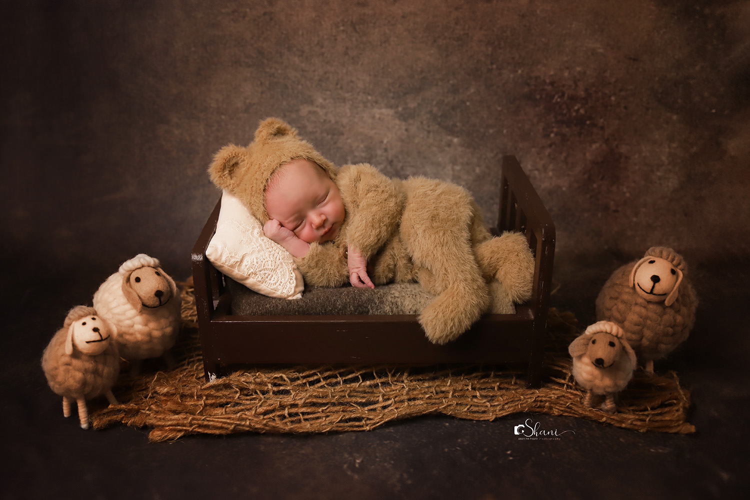 כבשים מוקטן.jpg