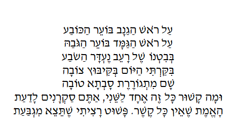 כובע.PNG