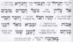 כונת הלב.png