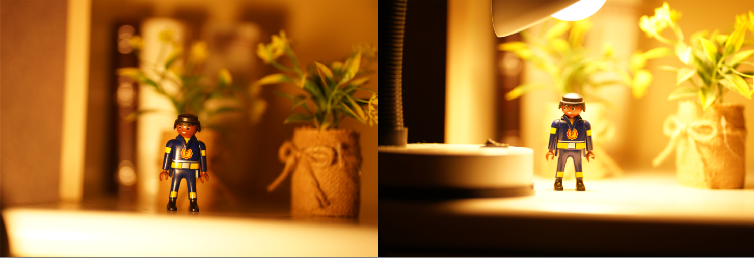 כושי בתאורה שונה צילום מקצועי רחל R Y.PNG