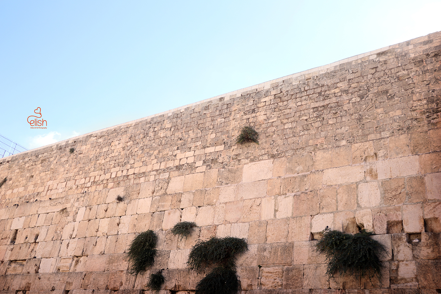 כותל.jpg