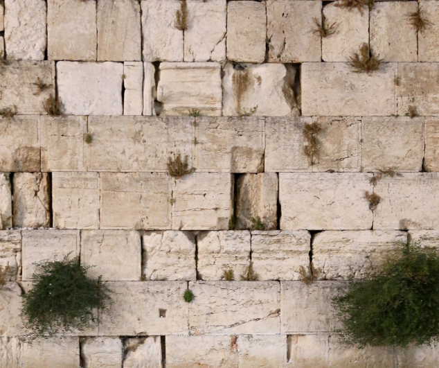 כותל.jpg