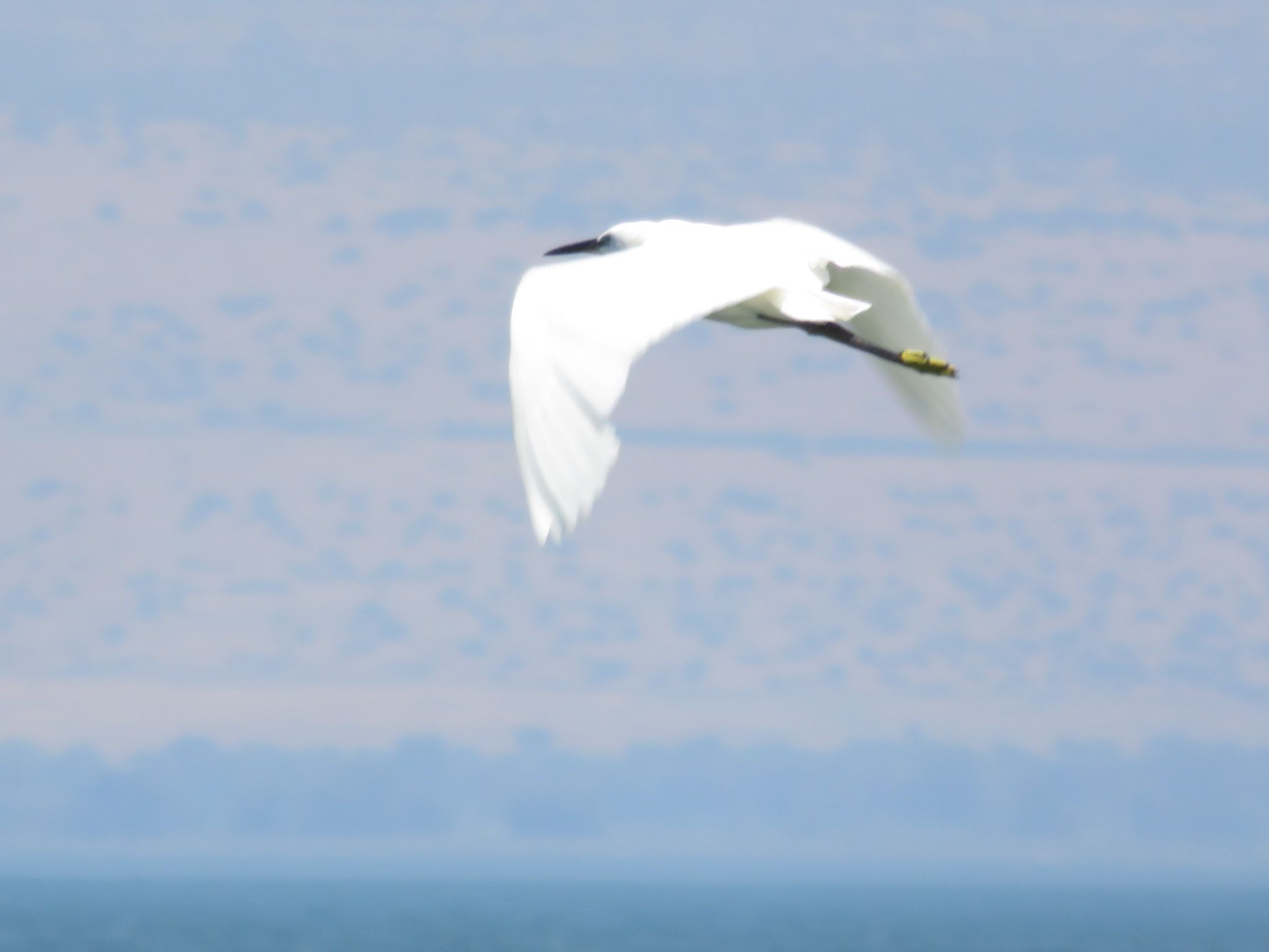 כינרת טבריה.JPG