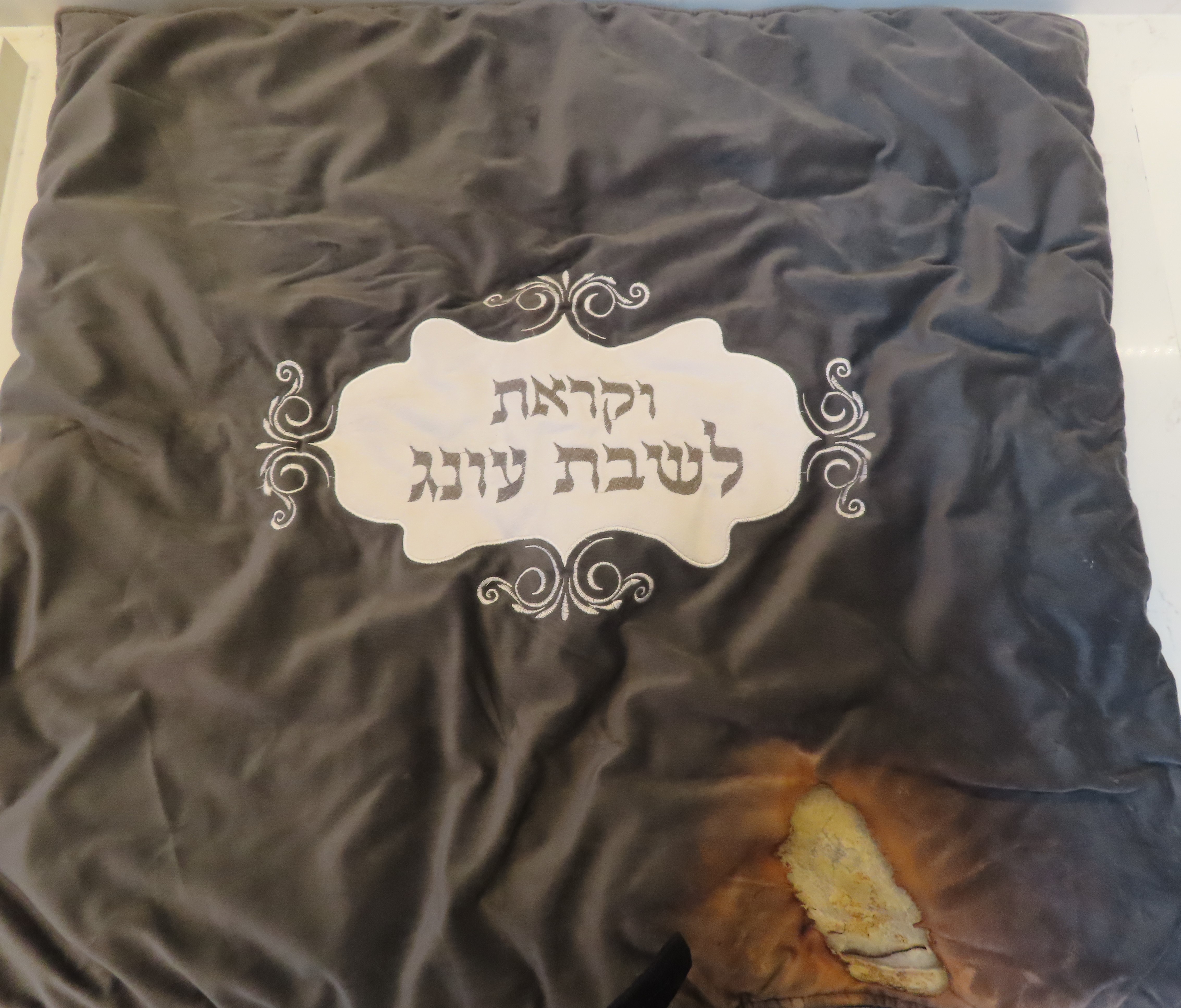 כיסוי לפלטה.JPG