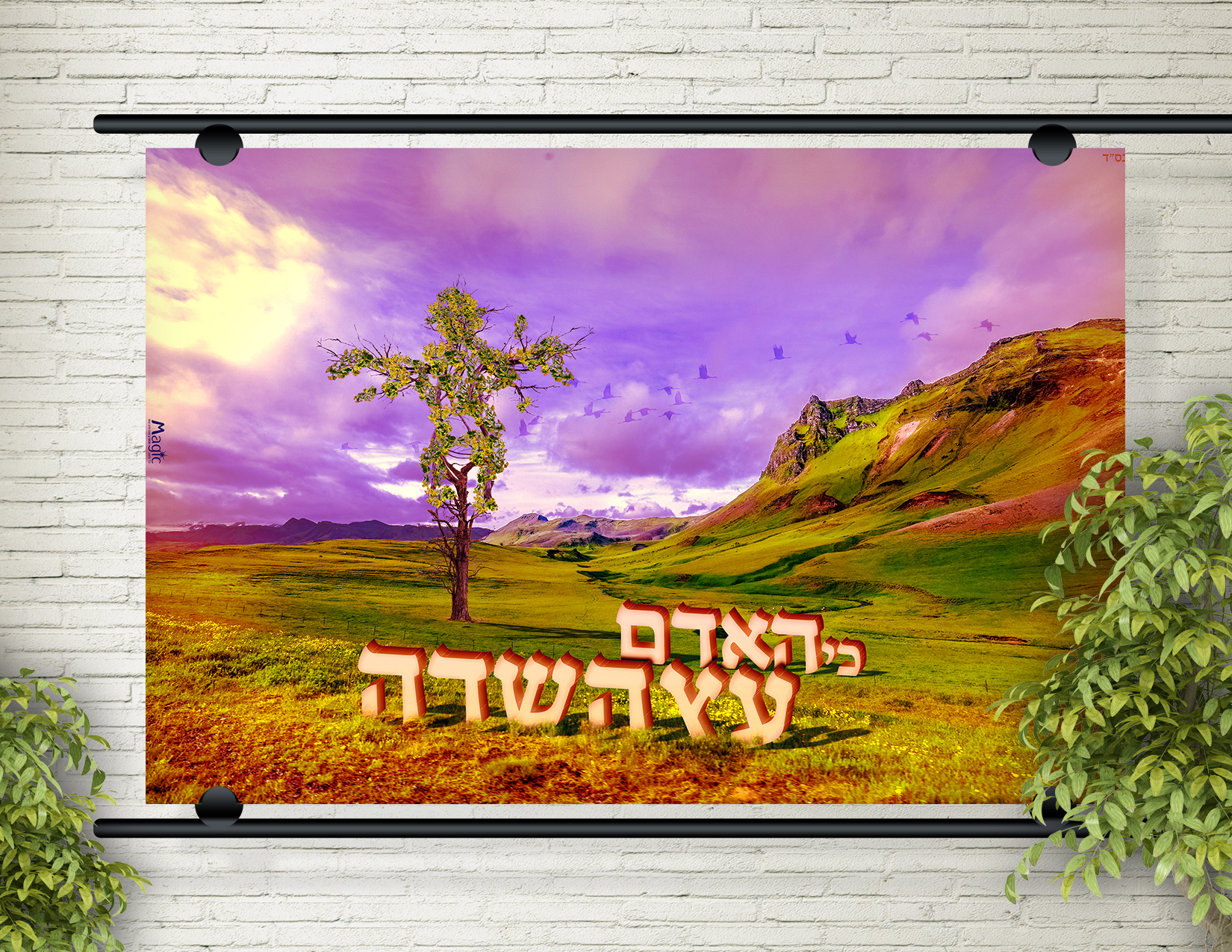 כי האדם מוקאפ 2.jpg