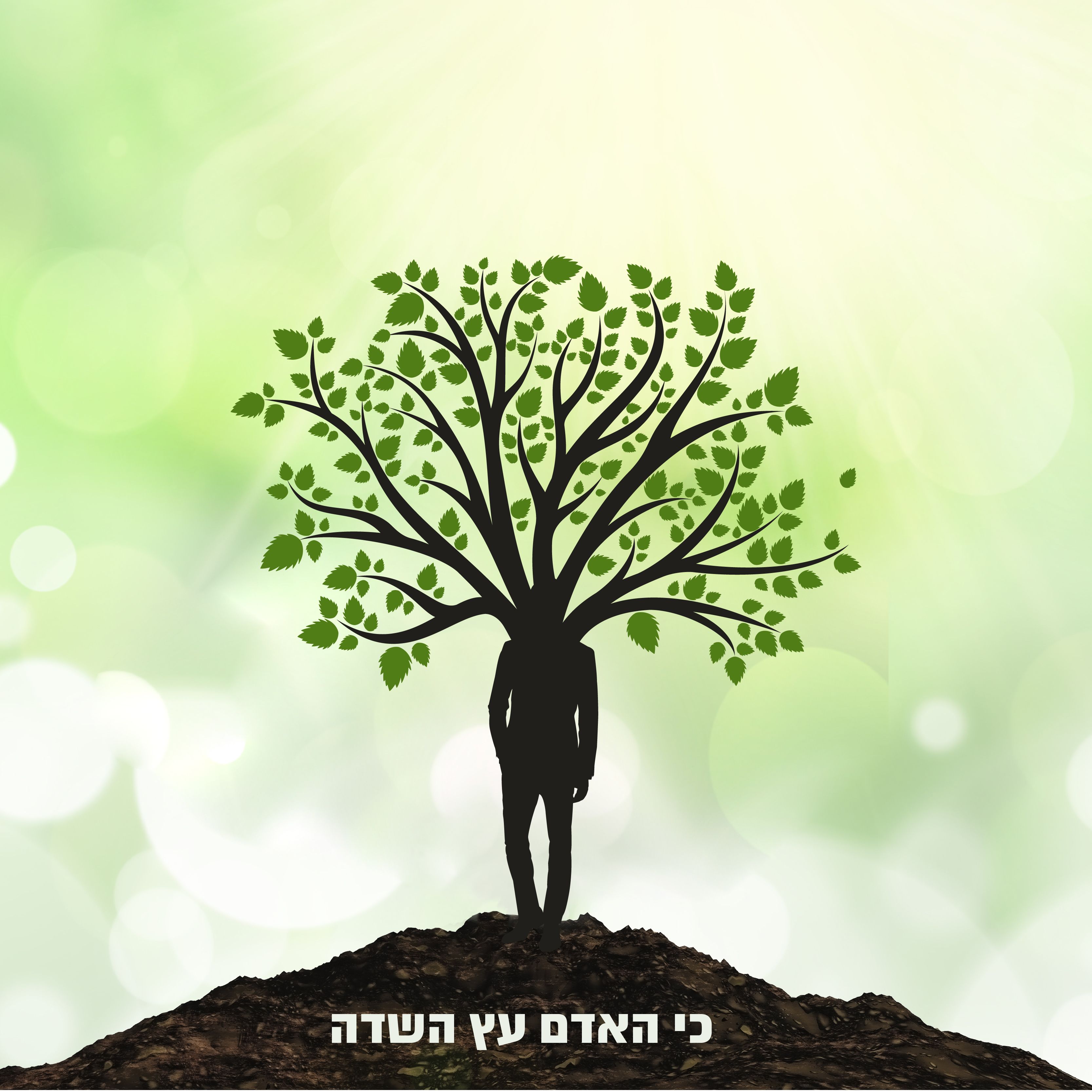כי האדם עץ השדה-01.jpg