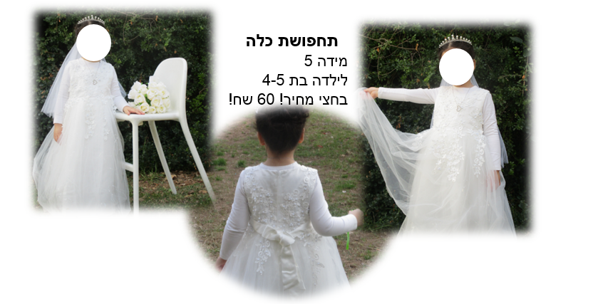 כלה לפרוג.PNG