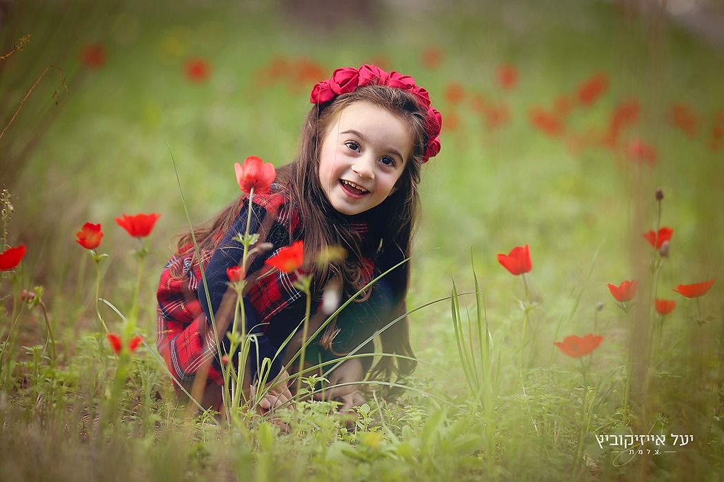 כלניות (1).jpeg