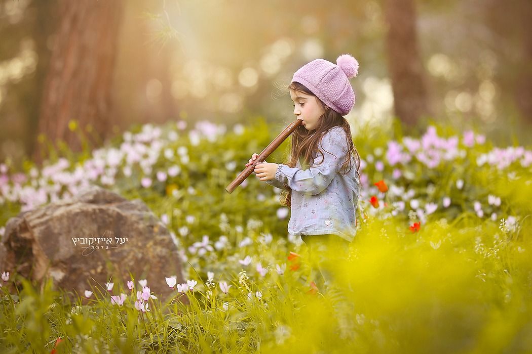 כלניות (2).jpeg