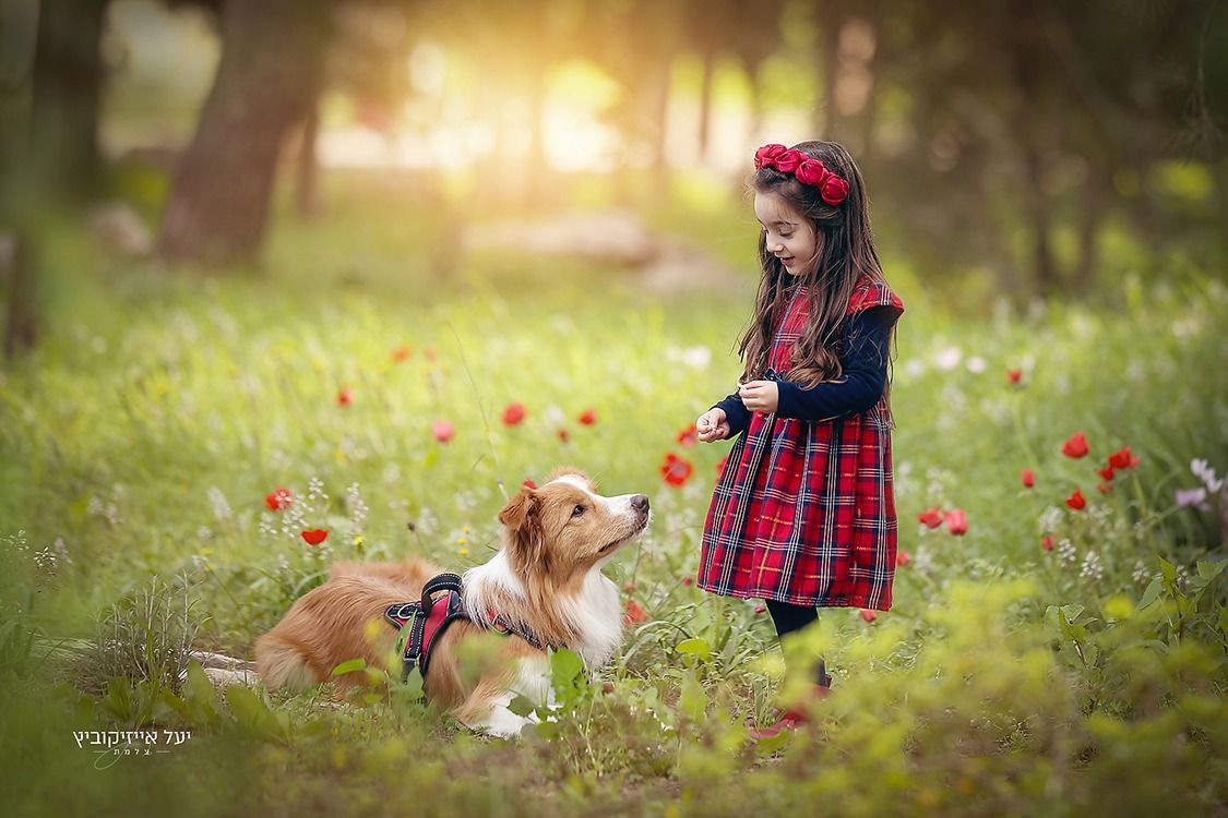 כלניות (8).jpeg