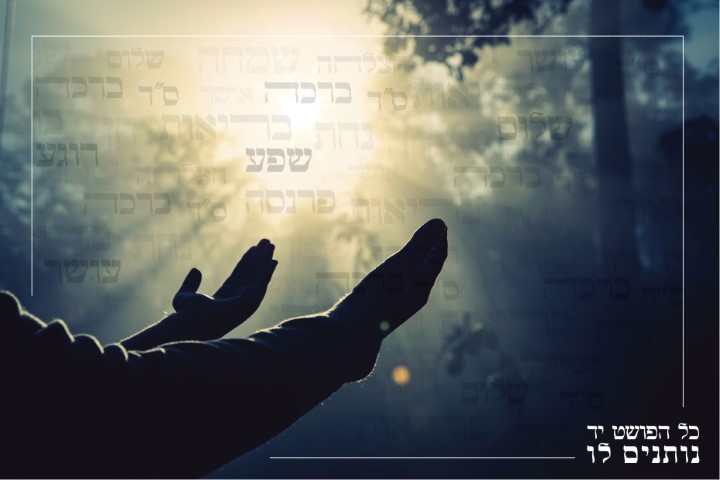 כל הפושט יד-01 (1) (Small).jpg