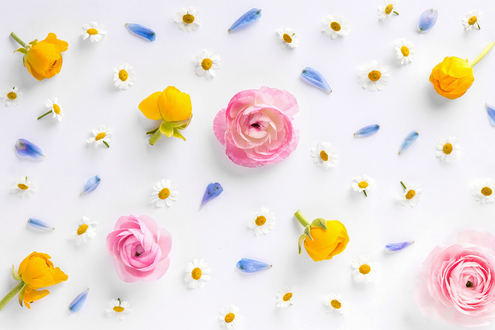 כל כך אפרת ברזל עיצוב כריכה שושי סירקיס5.jpg