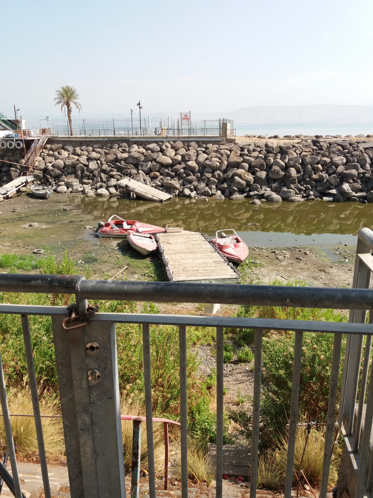 כנרת לפני.jpg