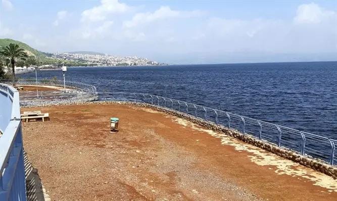 כנרת 2020-03-30 at 08.28.06.jpeg