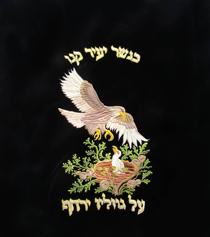 כנשר יעיר קינו.jpg