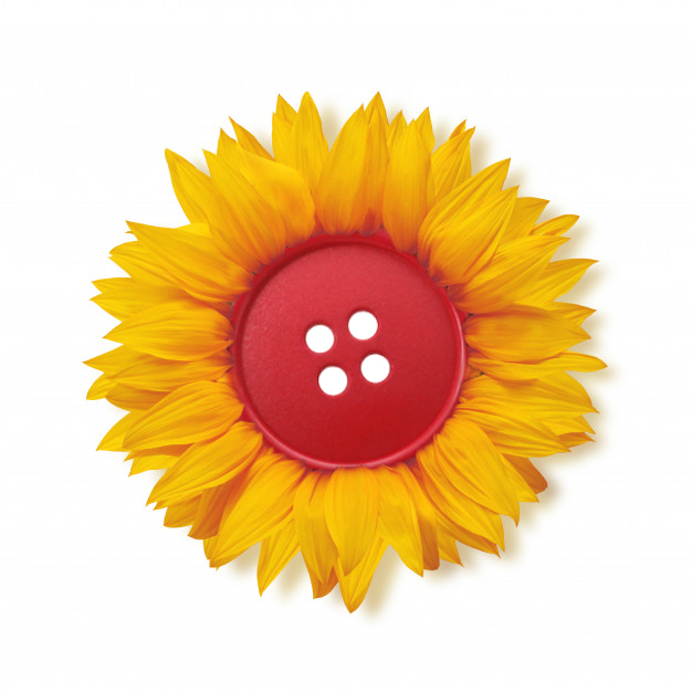 כפתור ופרח.jpg