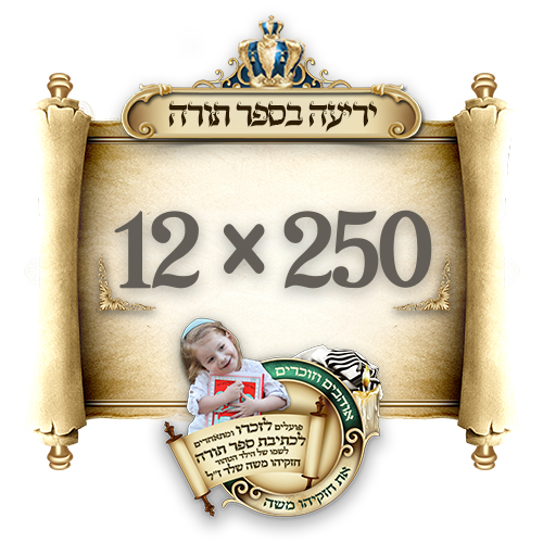 כפתור יריעה.jpg