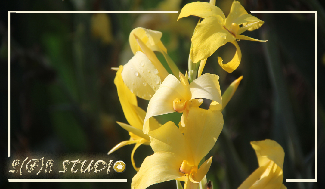 כרטיס ביקור אחורי סופי.jpg