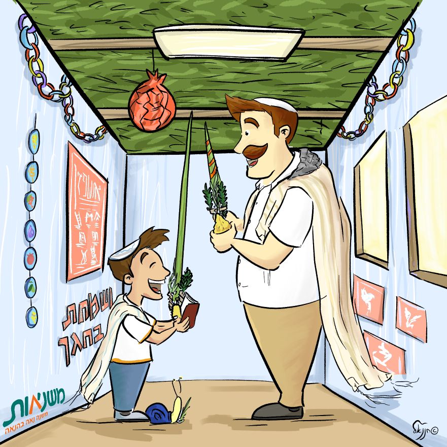 כריכה סוכה - עם רקע.jpg