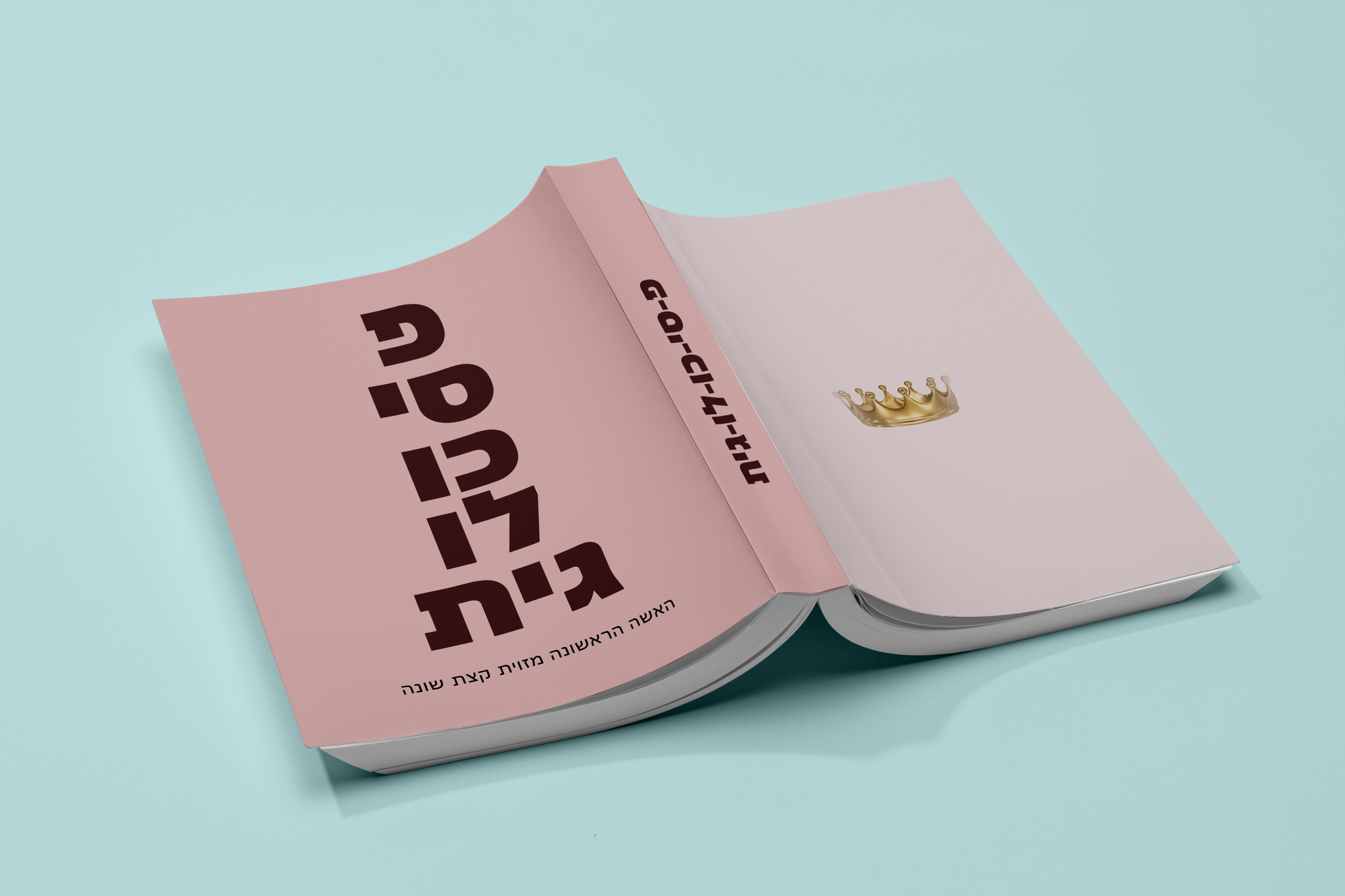 כריכה שרה נתניהו.jpg